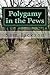 Polygamy in the Pews (21st ...