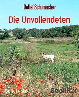 Die Unvollendeten (German Edition)