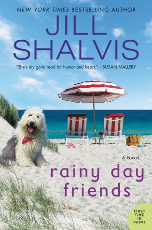 Capa do Livro Rainy Day Friends