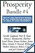 Prosperity Bundle #4