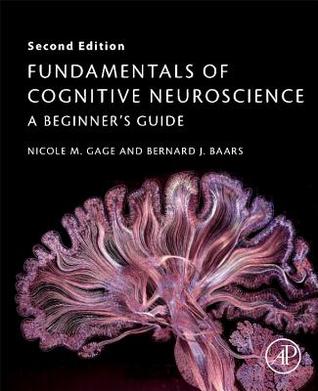 Fundamentals of Cognitive Neuroscience: A Beginner's Guide (Paperback)