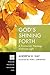 God’s Shining Forth: A Trin...