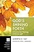 God’s Shining Forth: A Trinitarian Theology of Divine Light (Princeton Theological Monograph Series Book 218)