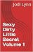 Sexy Dirty Little Secret Vo...
