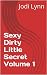 Sexy Dirty Little Secret Volume 1 by Jodi Lynn