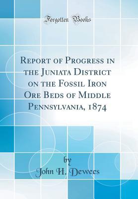 Report of Progress in the Juniata District on the Fossil Iron Ore Beds of Middle Pennsylvania, 1874 (Classic Reprint)