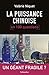 La puissance chinoise en 100 questions (French Edition)