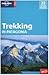 Trekking in Patagonia by Carolyn McCarthy