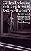 Schizophrenie und Gesellschaft: Texte und Gespräche von 1975 bis 1995