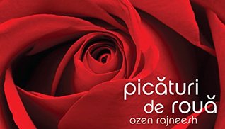 PICĂTURI DE ROUĂ