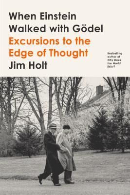 Cover of When Einstein Walked with Gödel: Excursions to the Edge of Thought