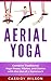 Aerial Yoga: Combine Tradit...