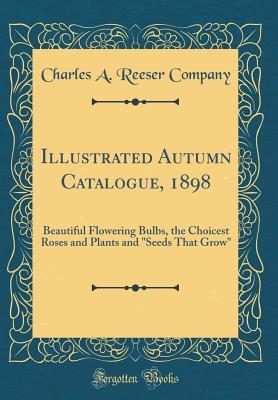Illustrated Autumn Catalogue, 1898