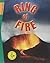 Ring of Fire (Science Links)