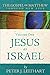 The Gospel of Matthew: Jesus as Israel, Volume 1 (Through New Eyes Bible Commentary)