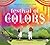 Festival of Colors by Kabir Sehgal
