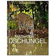 Faszination dschungel