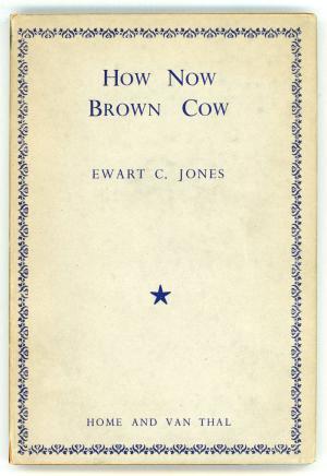 How Now Brown Cow (Hardcover)