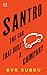 Santro: The Car That Built a Company [Hardcover] B.V.R. Subbu