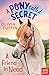 A Pony Called Secret by Olivia Tuffin