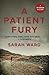 A Patient Fury (DC Connie Childs, #3)