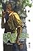 Fables, Vol 21: Camelot