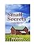 Small Secrets by Joan  Jacobson