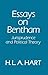 Essays on Bentham: Jurisprudence and Political Philosophy