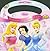 Disney Princess: Princess ABCs and 123s