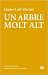 Un arbre molt alt