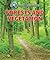 Forests and Vegetation (Let's Learn About Natural Resources)