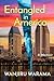 Entangled in America (ALONE in AMERICA DUOLOGY)