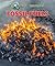 Fossil Fuels (Let's Learn About Natural Resources)