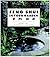 Feng Shui in Your Garden: How to Create Harmony in Your Garden