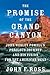 The Promise of the Grand Ca...