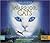 Gefährliche Spuren by Erin Hunter