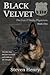 Black Velvet  (The Erin O'Reilly Mysteries #1)