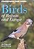 Birds of Britain and Europe