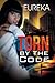 Torn by the Code