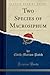 Two Species of Macrosiphum (Classic Reprint)