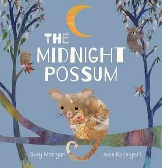 The Midnight Possum (Hardcover)