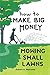 How to Make Big Money Mowing Small Lawns by Robert A. Welcome