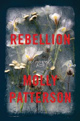 Rebellion: A Gripping Multi-Generational Literary Historical Fiction Saga – Perfect for Book Groups