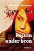Pojken under bron by Katarina Wennstam
