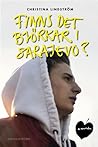Finns det björkar i Sarajevo? by Christina Lindström
