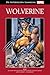 Wolverine - Schnappt Mystique! (Die Marvel Superhelden Sammlung, #3)