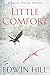 Little Comfort (Hester Thursby Mystery, #1)