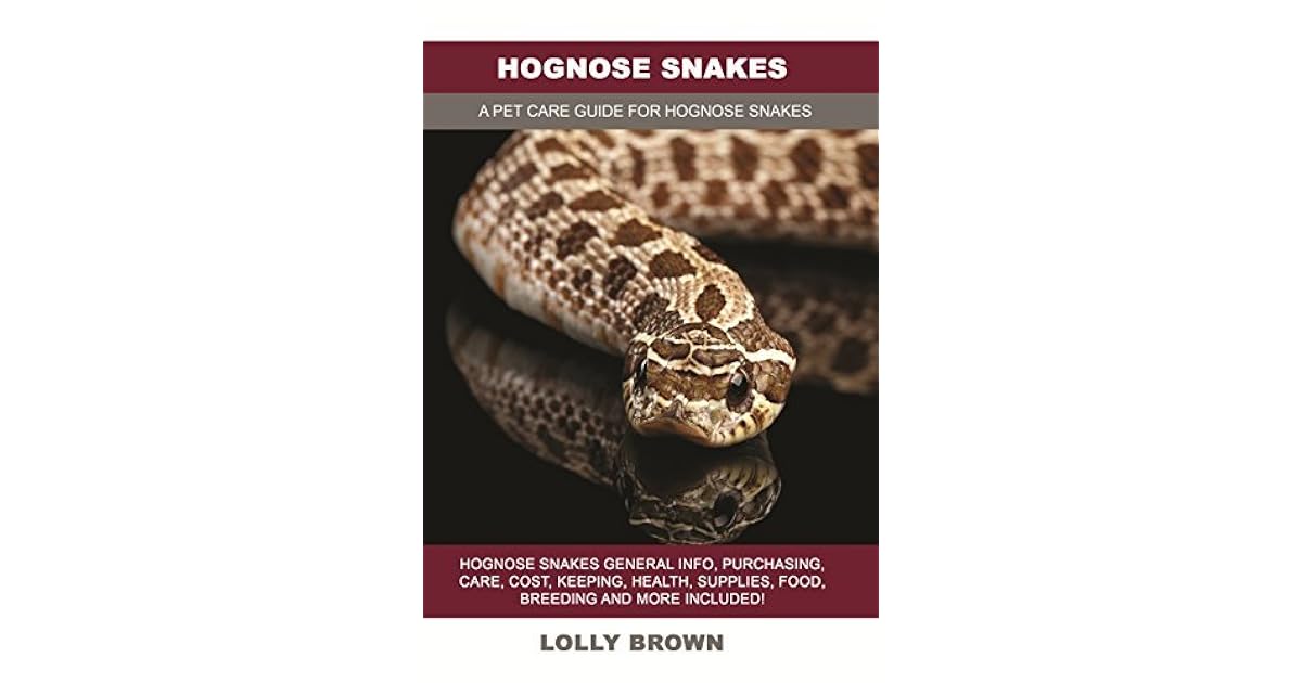snake breeding supplies