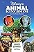 Disney's Animal Kingdom: An...