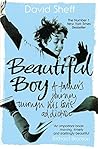 Book cover for Beautiful Boy: A Father's Journey Through His Son's Addiction